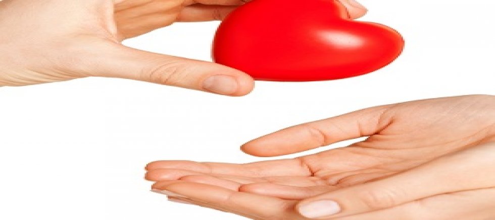 Organ bağışı hakkında bilinmesi gereken 7 nokta