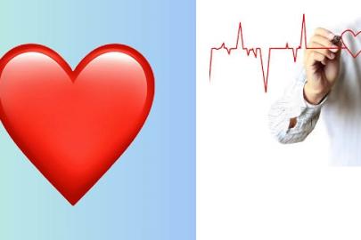 Kalp atışını hissediyor musunuz?