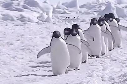 Karlı ve buzlu zeminlerde, “Penguen adımı” düşme riskini azaltıyor