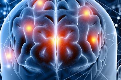 D Vitamini beynin bağışıklık sisteminde kilit rol oynuyor