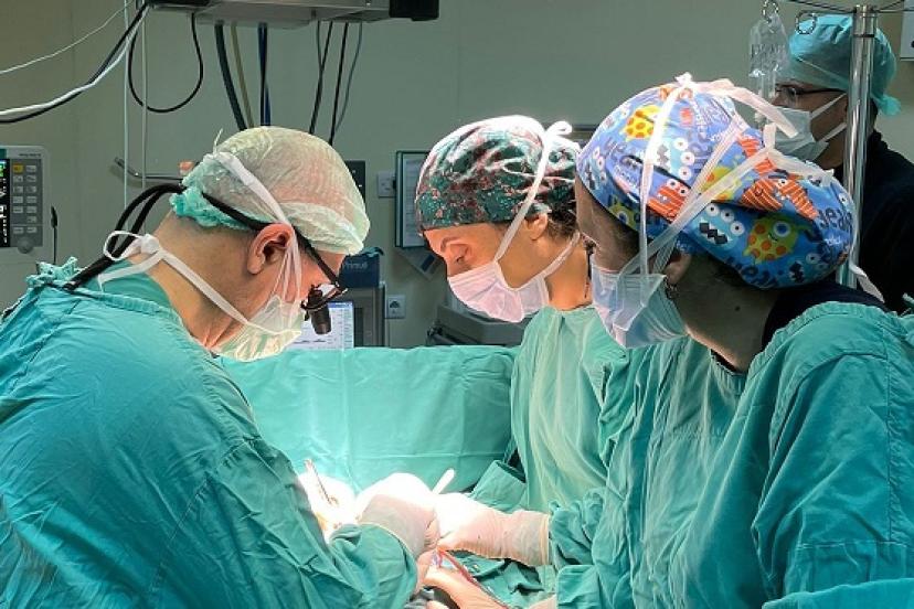 Protez kalp kapağı, insan kalp kapağının yerini tutar mı?